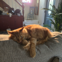 secondhand-life avatar