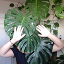 secondsolarian avatar