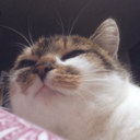 secondstobehappy avatar