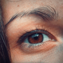 secret-anomalies avatar