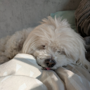 secretlygenerouschild avatar