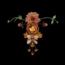 secrets-and-lost-thoughts avatar