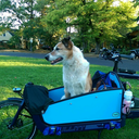 secretsofsbopl avatar