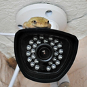 securityfrog-blog avatar