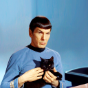 sedpeccasseiuvat avatar