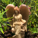 see-past-the-sky avatar