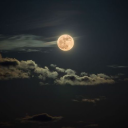 seguimos-bajo-la-misma-luna avatar