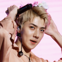 sehuned-blog avatar