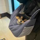 seizethedaywithmusic avatar