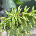 selfproclaimedmadscientist avatar