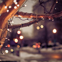 sempiternal-sussurus avatar