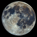 sensationalstardust avatar