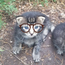 senseisdiviningbottom avatar