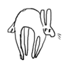 sensiblehare avatar