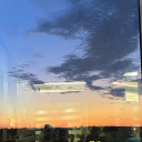 sensitiveferns avatar