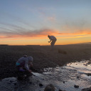 sensitivekitten avatar