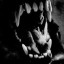 sentavukbenbudu avatar