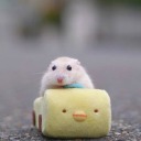 sentimental-lil-thing avatar