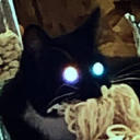 sergeantkitty avatar