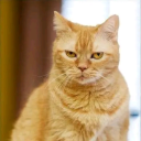 sergiogarcia42 avatar