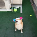 seriouslyisthismylife avatar