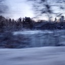 serpentofdusk avatar