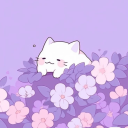 setayeshmohseni avatar