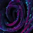 sethcursink303 avatar