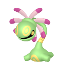 several-caterpillars avatar