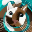 severalsecondslate avatar