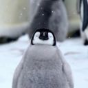 sevikaswhore69 avatar