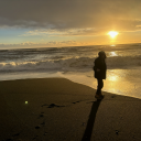 sexual-safari avatar