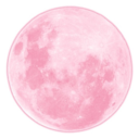 sexualpanther69 avatar