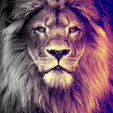 sexyladyhotsblog avatar