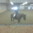 sfidressage avatar