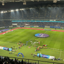 shades-ofwhite avatar