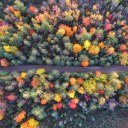 shadesofseasons avatar