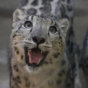 shadowsh00ter avatar