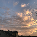 shadowsnowflake13 avatar