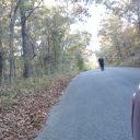 shadowwoods19 avatar