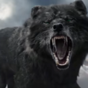 shaggydogmatters avatar