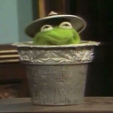 shakespearesturtle avatar