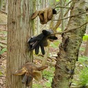 shaky-suggestion avatar