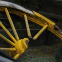 shamelessly-reading avatar