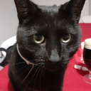 shannon-bug-xx avatar