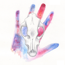 shards-of-wanderlust avatar