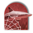 shark-plots avatar