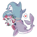 sharkslovefood-blog avatar