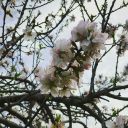 she-looks-perfect-tonight avatar