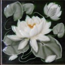 sheepishchild avatar